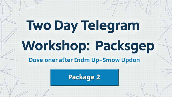 Two-Day Telegram Workshop: Package 2